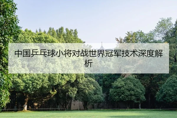 中国乒乓球小将对战世界冠军技术深度解析